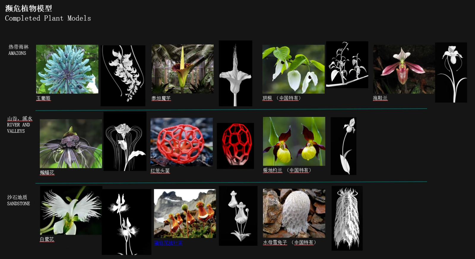 斗罗大陆 星斗梦境 “珍稀如你” AI生物多样性生成装置 08