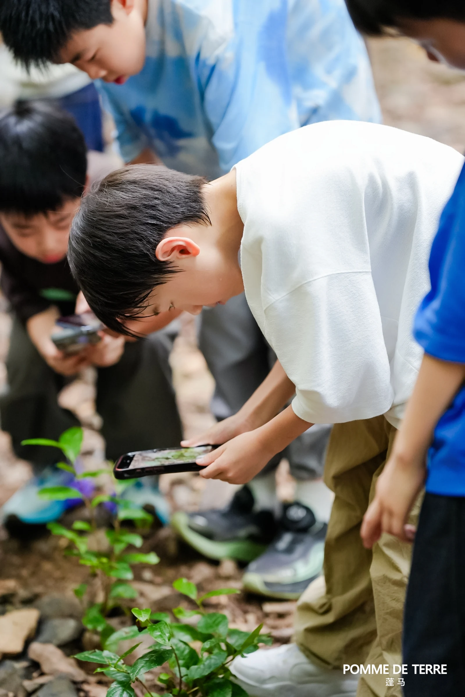 小朋友围着植物使用手机记录